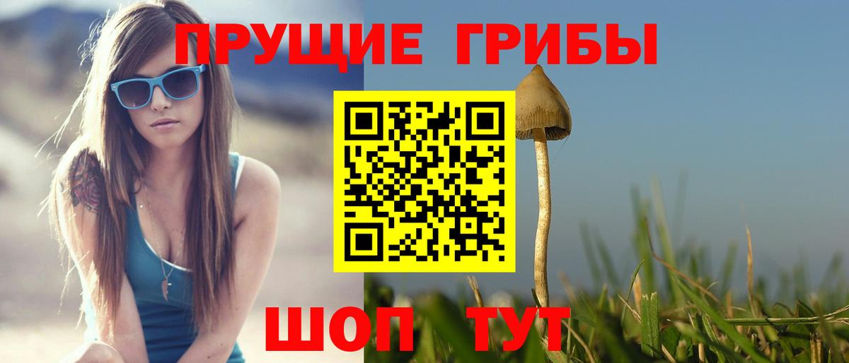 Галлюциногенные грибы Magic Shrooms Ставрополь