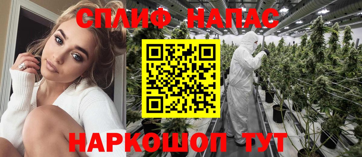МАРИХУАНА гибрид Ставрополь